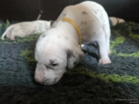 IMG_20250119_145700_web