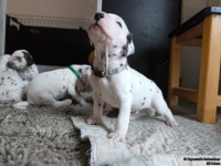 IMG_20250121_112500_web