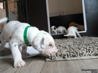 IMG_20250121_112649_web