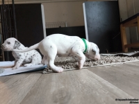 IMG_20250121_112653_web