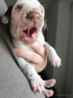 IMG_20250118_122110_web