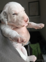 IMG_20250118_121924_web