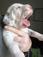 IMG_20250118_121927_web