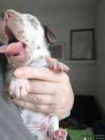 IMG_20250118_122144_web