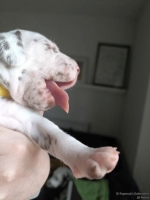 IMG_20250118_121940_web