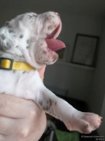 IMG_20250118_121941_web