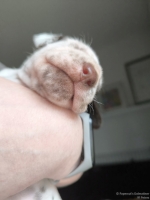 IMG_20250118_122327_web