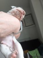 IMG_20250118_122333_web