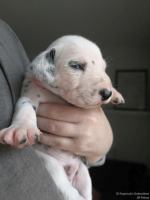 IMG_20250118_122601_web