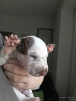 IMG_20250118_122622_web