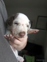 IMG_20250118_122633_web