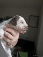 IMG_20250118_122634_web