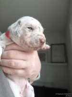 IMG_20250118_122703_web