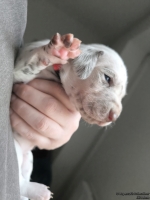 IMG_20250118_122707_web