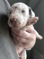 IMG_20250118_122717_web