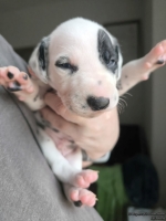 IMG_20250118_123111_web