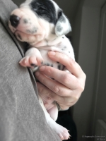 IMG_20250118_123129_web