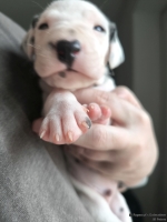 IMG_20250118_123200_web