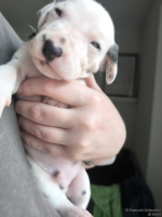 IMG_20250118_123219_web