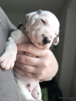 IMG_20250118_123221_1_web