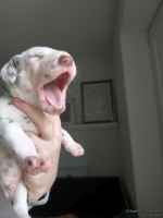 IMG_20250118_123317_1_web