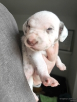 IMG_20250118_123319_web