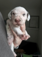 IMG_20250118_123320_web