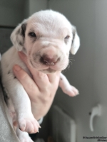 IMG_20250118_123322_web