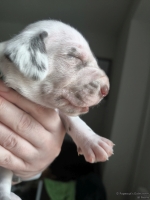 IMG_20250118_123328_web