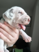 IMG_20250118_123329_web