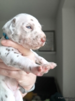 IMG_20250118_123444_web