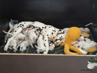 IMG_20250122_131713_web