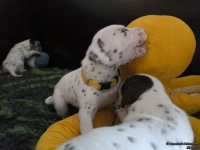 IMG_20250122_133804_web