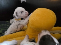 IMG_20250122_133809_web