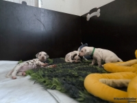 IMG_20250122_133838_web