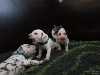 IMG_20250122_133913_web