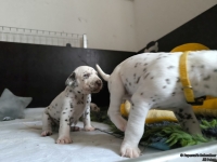 IMG_20250122_134043_web