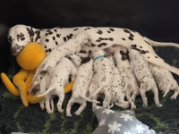 IMG_20250123_121231_web