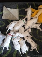 IMG_20250123_122811_web