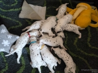 IMG_20250123_122815_web