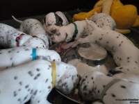 IMG_20250123_122904_web