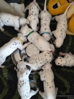 IMG_20250123_123024_web