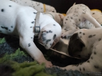 IMG_20250123_123038_web