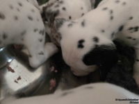 IMG_20250123_123042_web