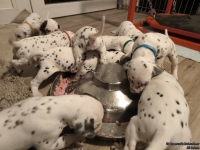 IMG_20250124_180359_web