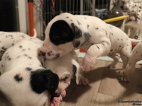 IMG_20250124_180447_web