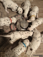 IMG_20250124_180537_1_web