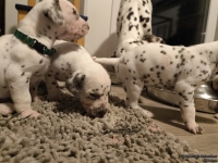 IMG_20250124_180948_web