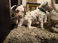 IMG_20250124_181006_web