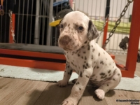 IMG_20250124_181018_1_web